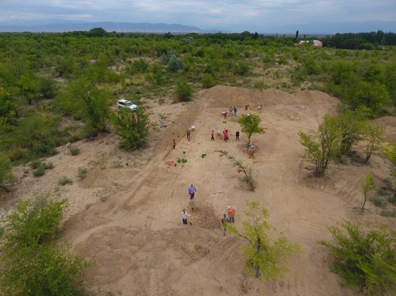 DJI_0610