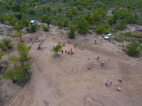 DJI_0613