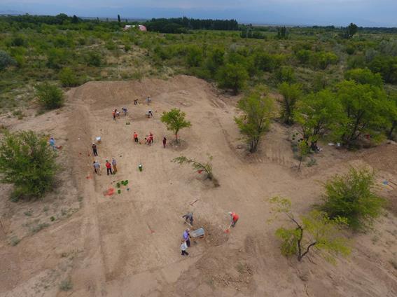 DJI_0630