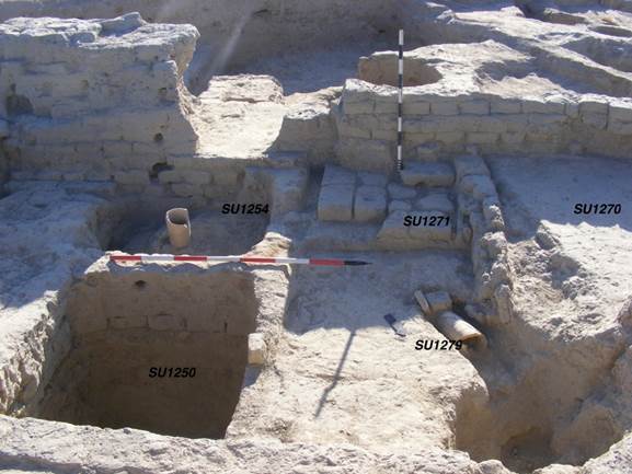 Macintosh HD:Users:silviapozzi:Documents:ARCHEOLOGIA:MISSIONI ESTERO:UZBEKISTAN:VARDANA SITE ARCHIVE:ВАРДАНЗЕ 2019:Report_2019:Contributi scritti:Ilaria:Foto Ila x report:24_Fs C8NW C8SW CC8NE SSUU1250,1254,1264 1270 1271  1279.JPG