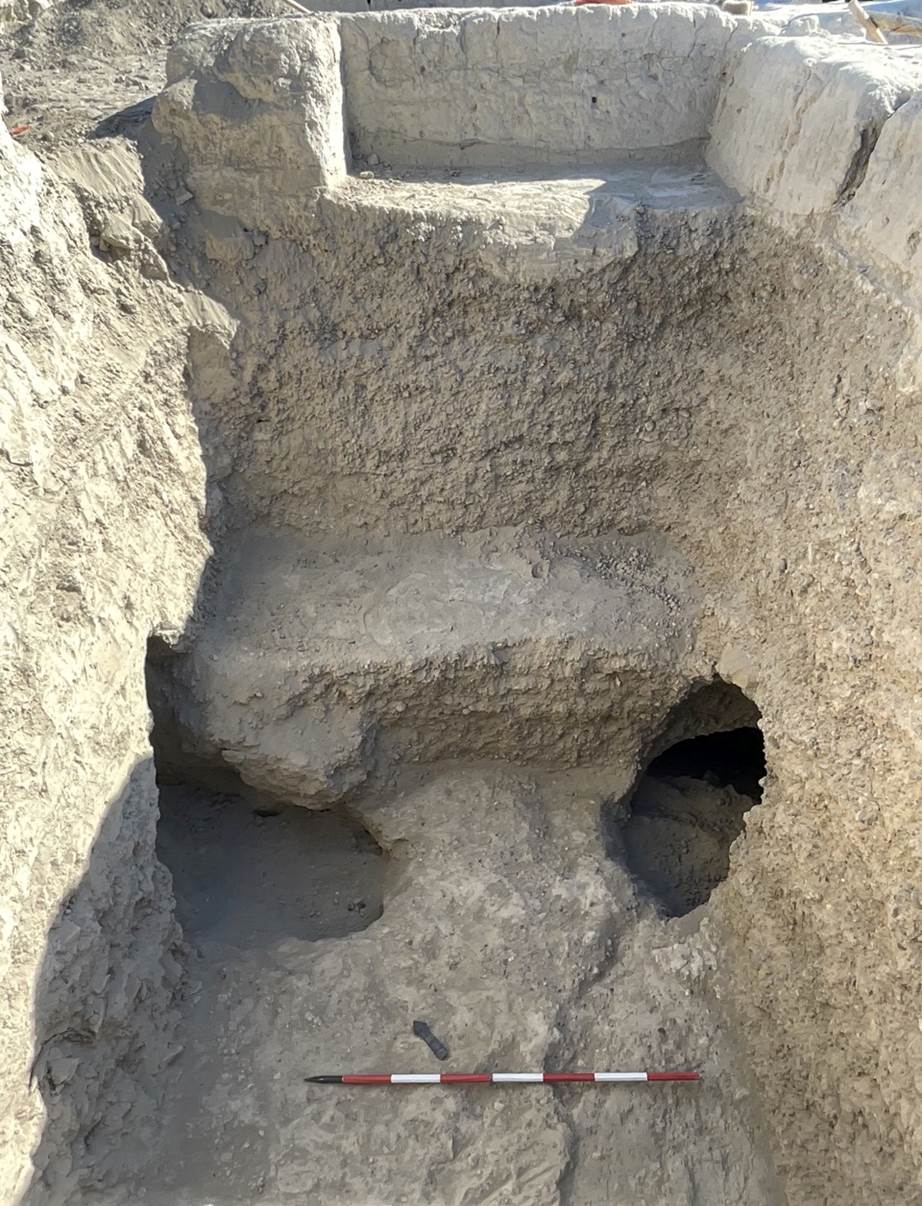 Descrizione: Description: Macintosh HD:Users:silviapozzi:Documents:ARCHEOLOGIA:MISSIONI ESTERO:UZBEKISTAN:VARDANA SITE ARCHIVE:ВАРДАНЗЕ 2023_uzb:Report 2023:Cittadella:IMG_0424 2.jpeg