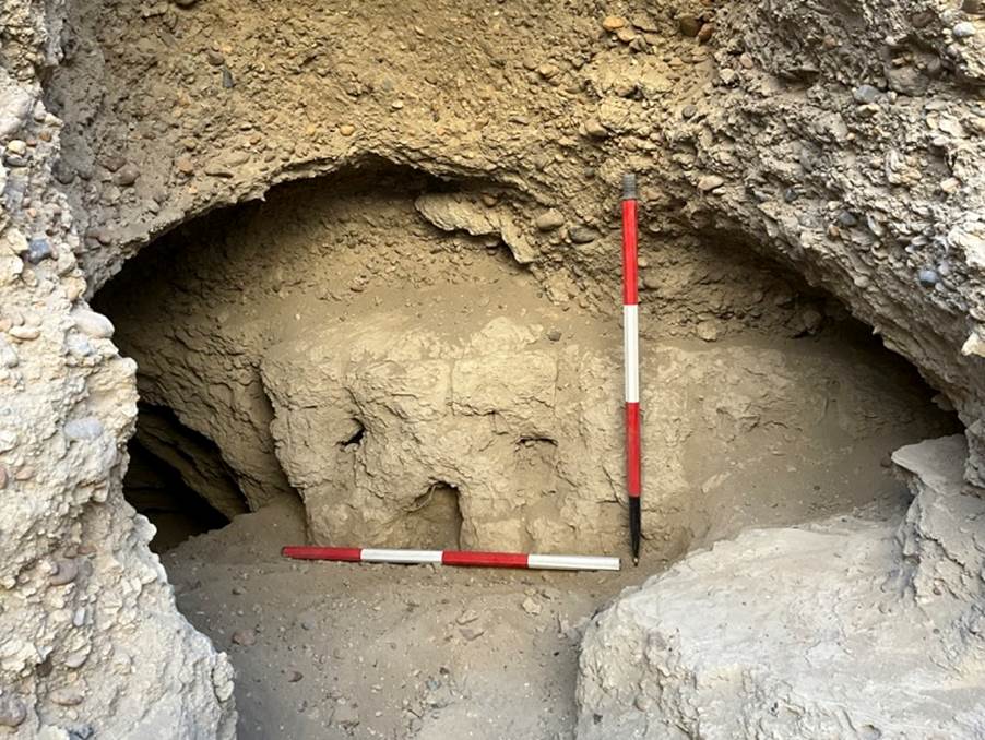 Descrizione: Description: Macintosh HD:Users:silviapozzi:Documents:ARCHEOLOGIA:MISSIONI ESTERO:UZBEKISTAN:VARDANA SITE ARCHIVE:ВАРДАНЗЕ 2023_uzb:Excavation 2023:PHOTOS:Citadel:IMG_0466.jpeg