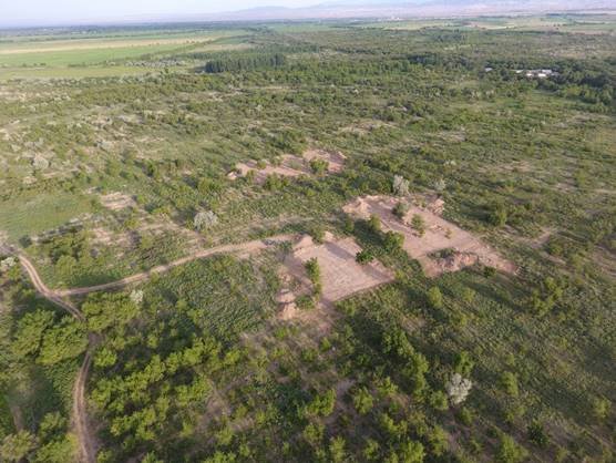 DJI_0002