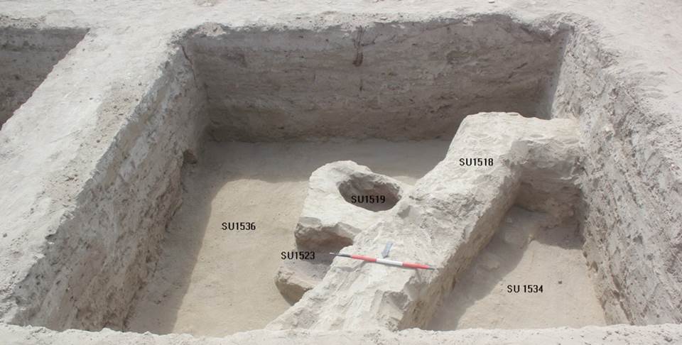 Descrizione: Description: Macintosh HD:Users:silviapozzi:Documents:ARCHEOLOGIA:MISSIONI ESTERO:UZBEKISTAN:VARDANA SITE ARCHIVE:ВАРДАНЗЕ 2023_uzb:Report 2023:Sharistan W:FOTO PER REPORT:II13-NE_Nishon:IMG_0995 — копия.JPG