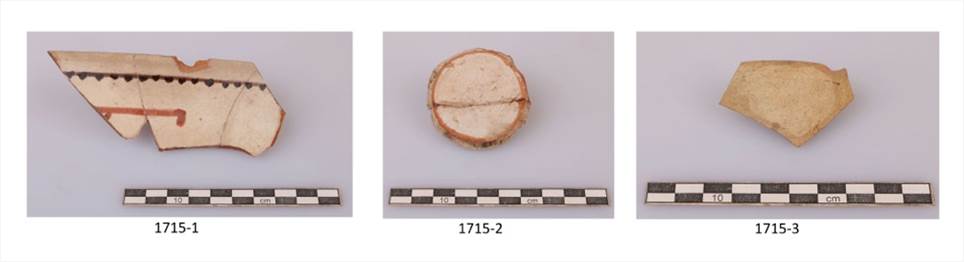 Descrizione: Description: Macintosh HD:Users:silviapozzi:Documents:ARCHEOLOGIA:MISSIONI ESTERO:UZBEKISTAN:VARDANA SITE ARCHIVE:ВАРДАНЗЕ 2023_uzb:Pottery 2023:Tavole VARDANZEH 2023:SHAH E:F21-NE_Nishan:SH-E_F21-NE_1715.jpg