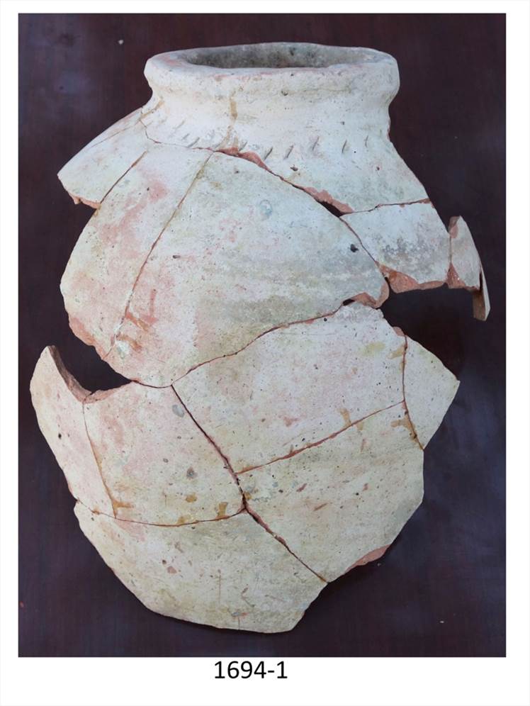 Descrizione: Description: Macintosh HD:Users:silviapozzi:Documents:ARCHEOLOGIA:MISSIONI ESTERO:UZBEKISTAN:VARDANA SITE ARCHIVE:ВАРДАНЗЕ 2023_uzb:Pottery 2023:Tavole VARDANZEH 2023:SHAH E:EE20-SE_Orif:SH-E_EE20-SE_1694.jpg